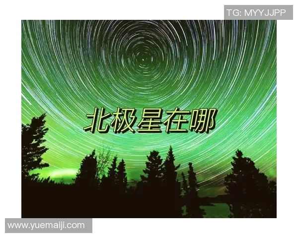 中央脉搏与北方星的对话探索宇宙中的命运与希望交织之路