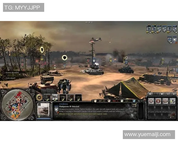 王秀英独家揭秘DOTA2游戏技巧与心得分享助你提升实力